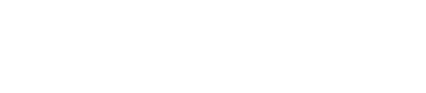Logo POLAM